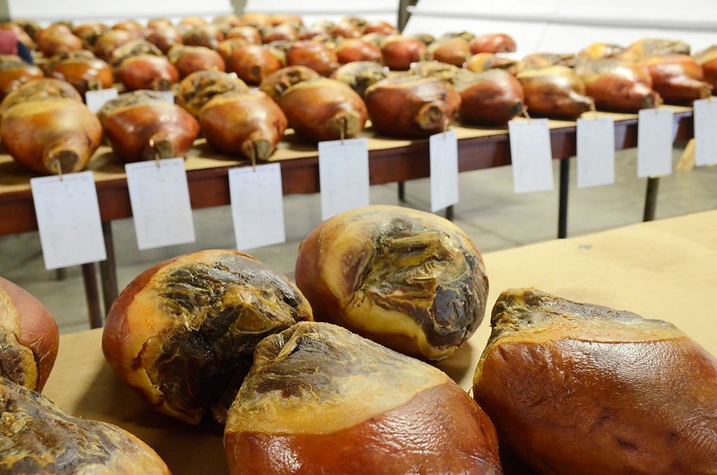 KEEPING COUNTRY HAM ALIVE
