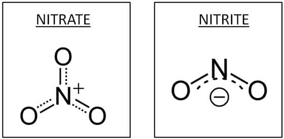 THE TRUTH ABOUT NITRATES AND NITRITES