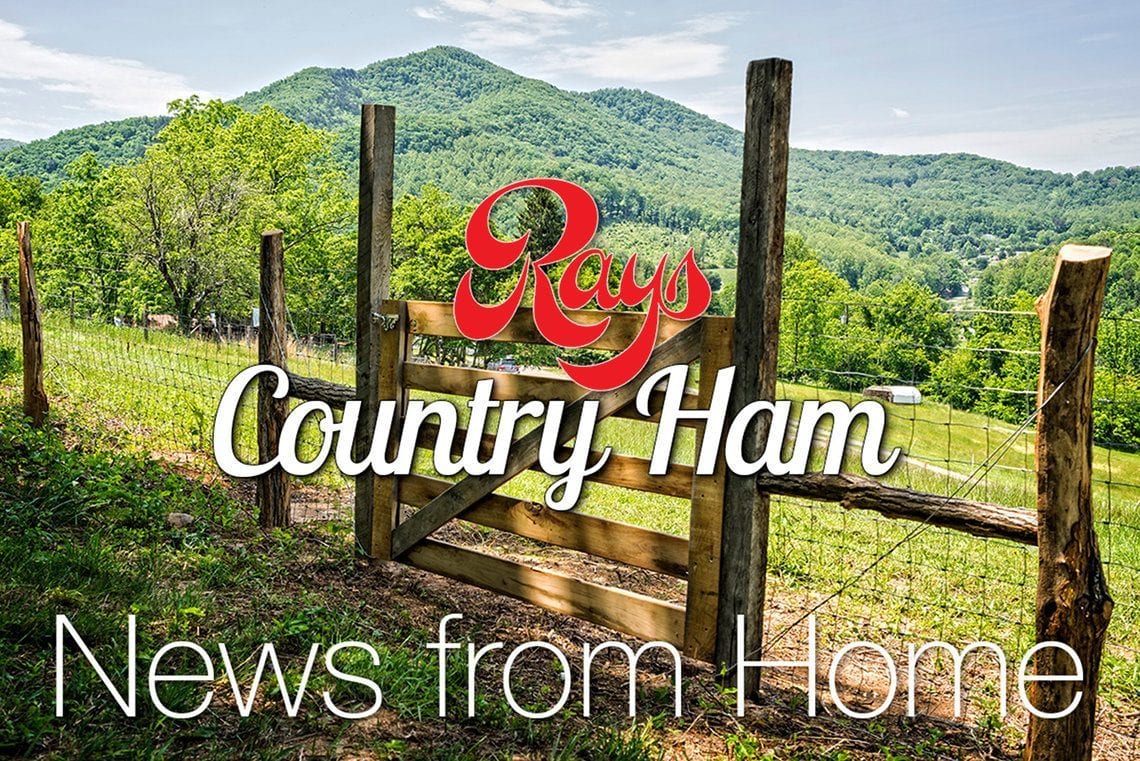 WELCOME TO OUR NEWSLETTER